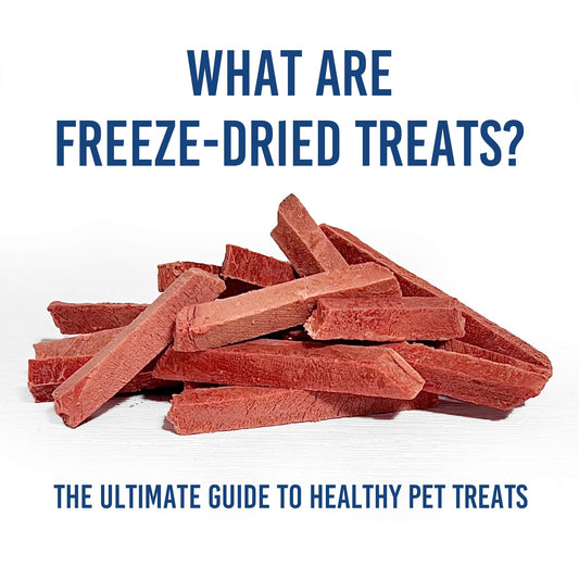 What Are Freeze-Dried Treats? The Ultimate Guide to Healthy Pet Treats