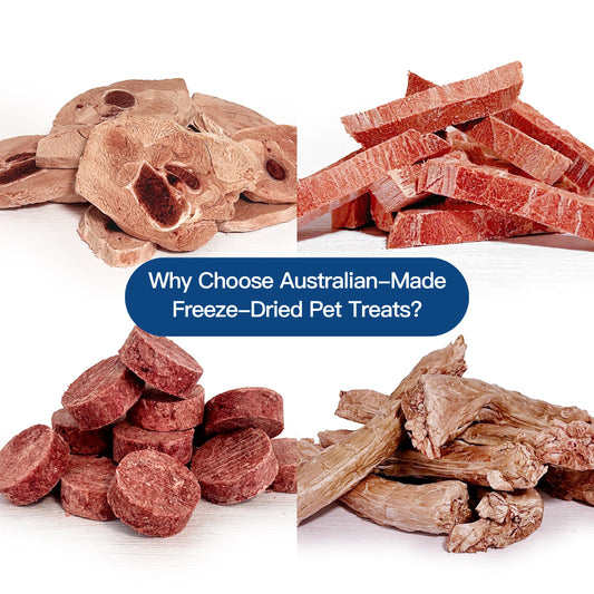Why Choose Australian-Made Freeze-Dried Pet Treats?