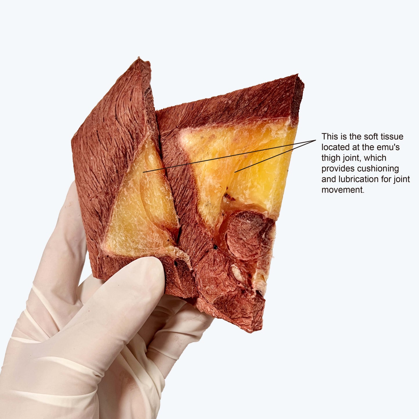 freeze-dried emu leg slices