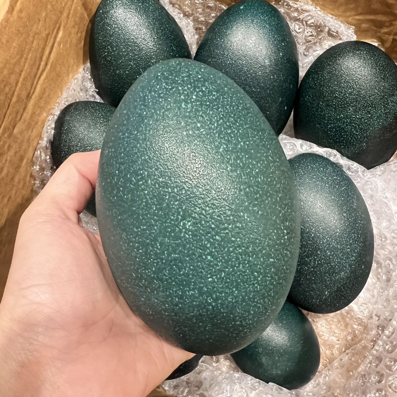 seasonal farm exclusive - fresh emu eggs