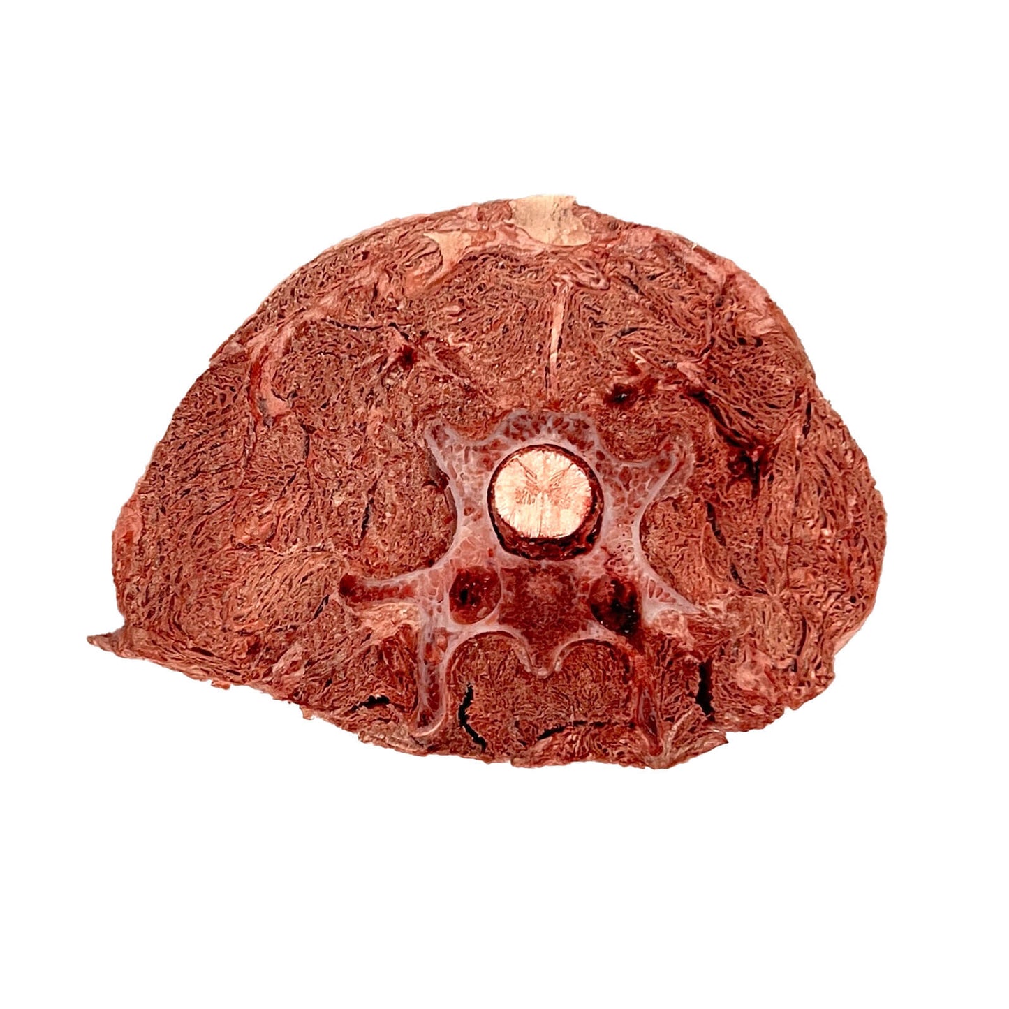 freeze dried venison neck bone-in slice