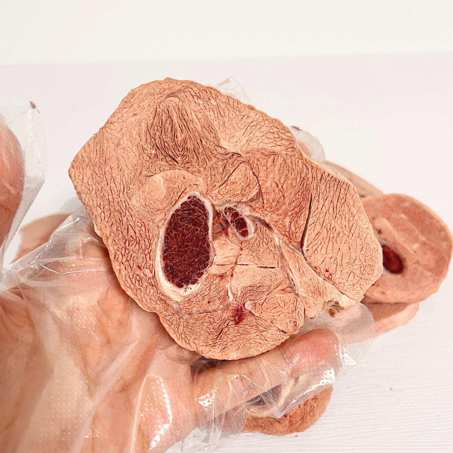 freeze-dried turkey leg slices
