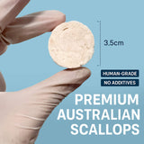 PREMIUM SCALLOP MEAT