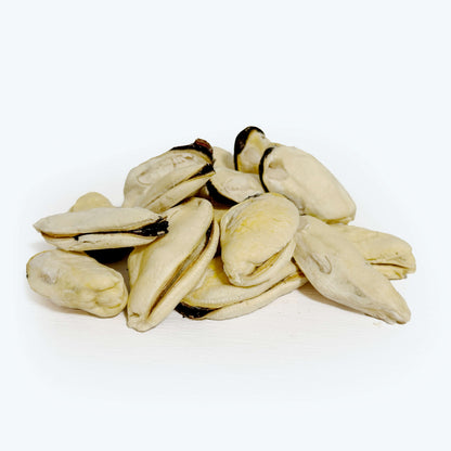 Green Lipped Mussel