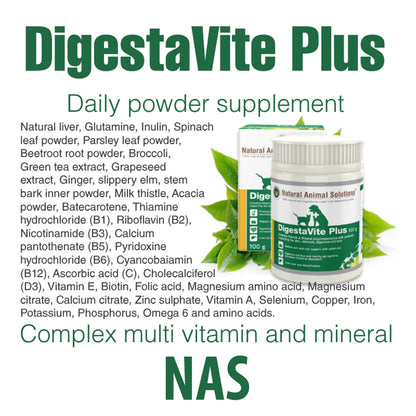 DigestaVite Plus For Dogs And Cats 100gm