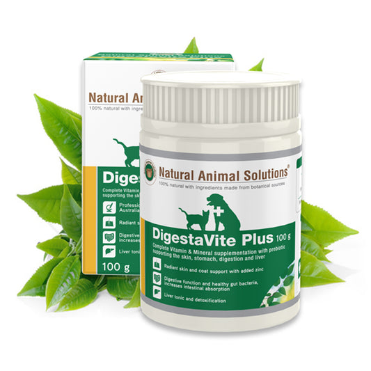 DigestaVite Plus For Dogs And Cats 100gm